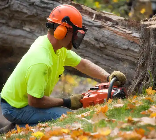 tree services Pioche